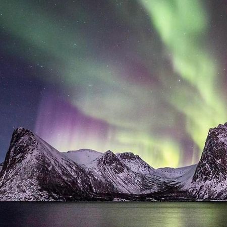 Stonglandseidet Senja Livingアパートホテル エクステリア 写真