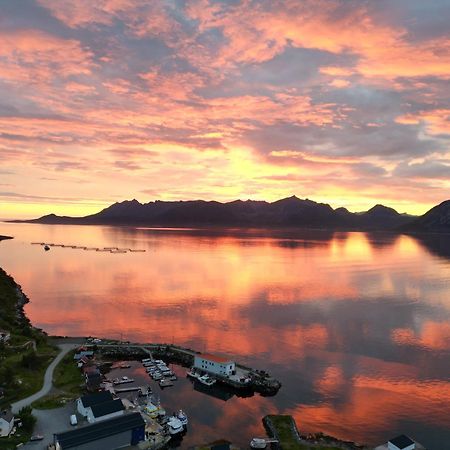 Stonglandseidet Senja Livingアパートホテル エクステリア 写真