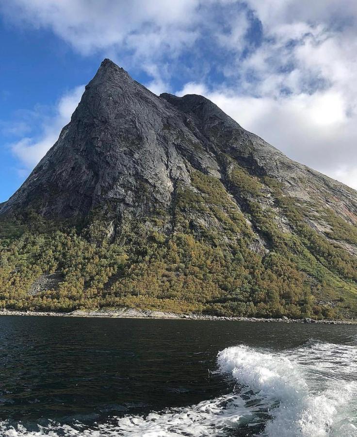 Stonglandseidet Senja Livingアパートホテル エクステリア 写真