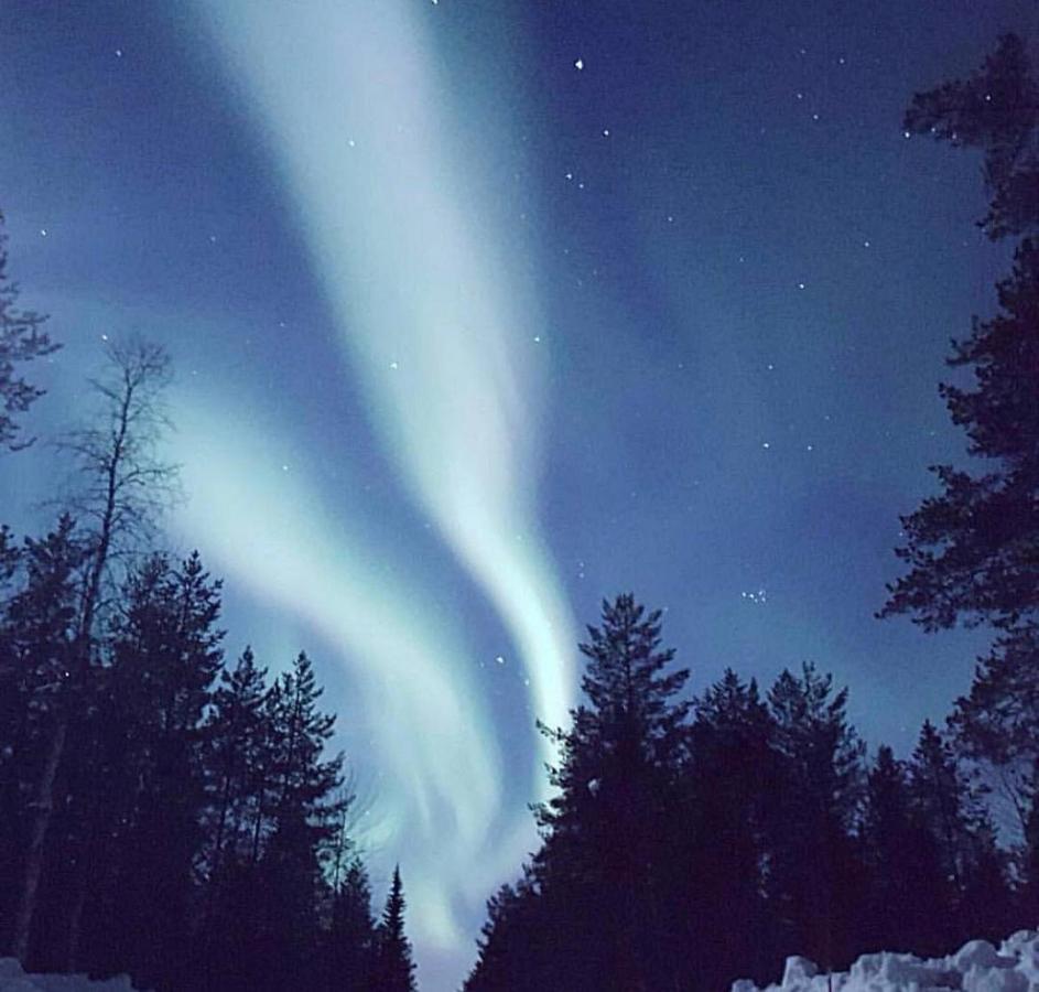 Stonglandseidet Senja Livingアパートホテル エクステリア 写真