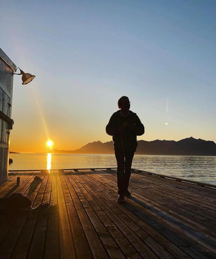 Stonglandseidet Senja Livingアパートホテル エクステリア 写真