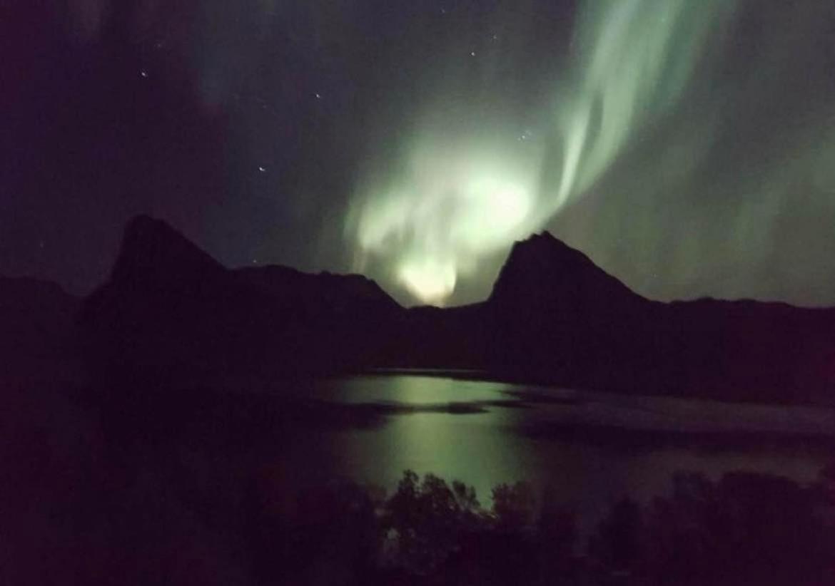 Stonglandseidet Senja Livingアパートホテル エクステリア 写真