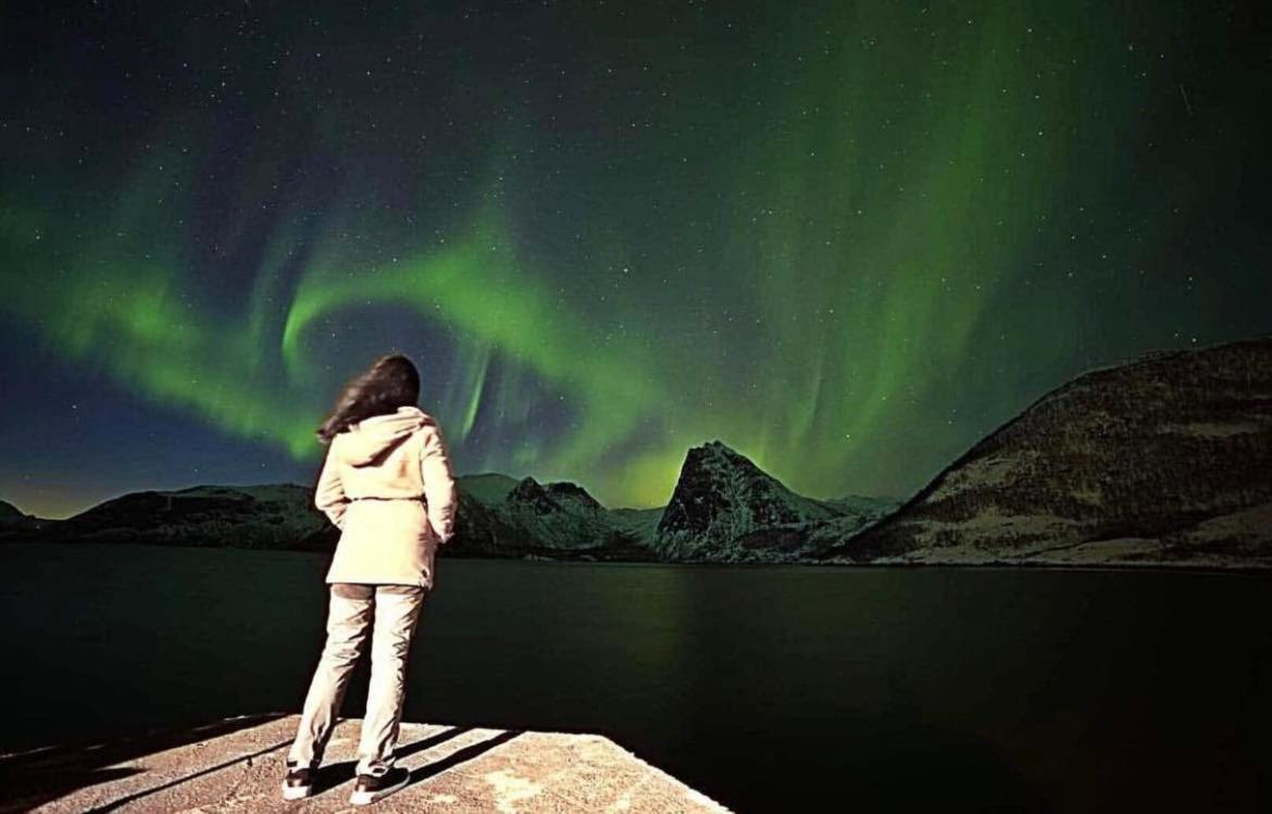 Stonglandseidet Senja Livingアパートホテル エクステリア 写真