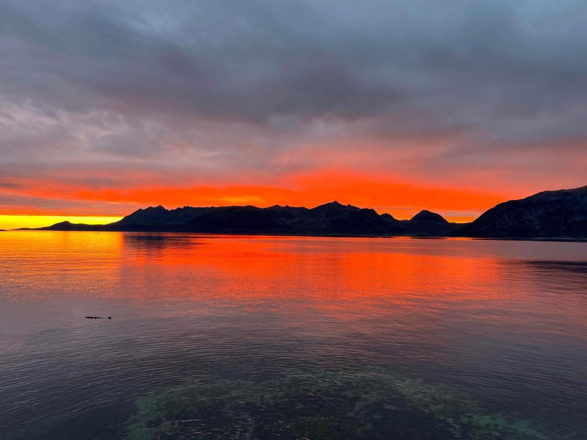 Stonglandseidet Senja Livingアパートホテル エクステリア 写真