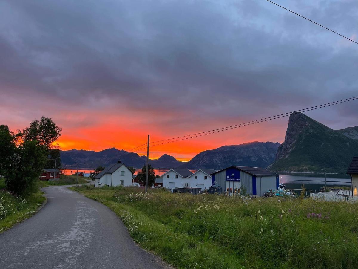 Stonglandseidet Senja Livingアパートホテル エクステリア 写真