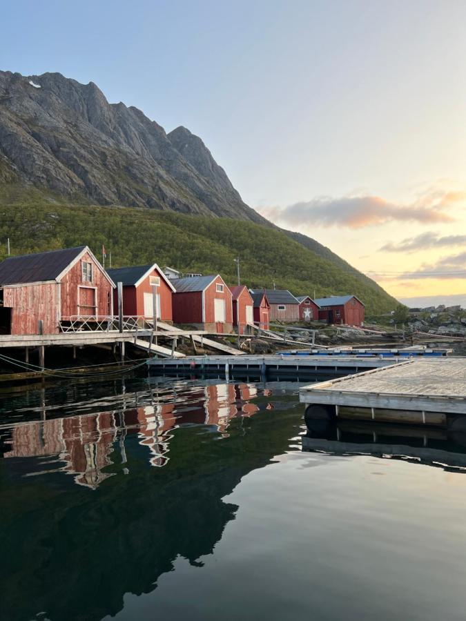 Stonglandseidet Senja Livingアパートホテル エクステリア 写真
