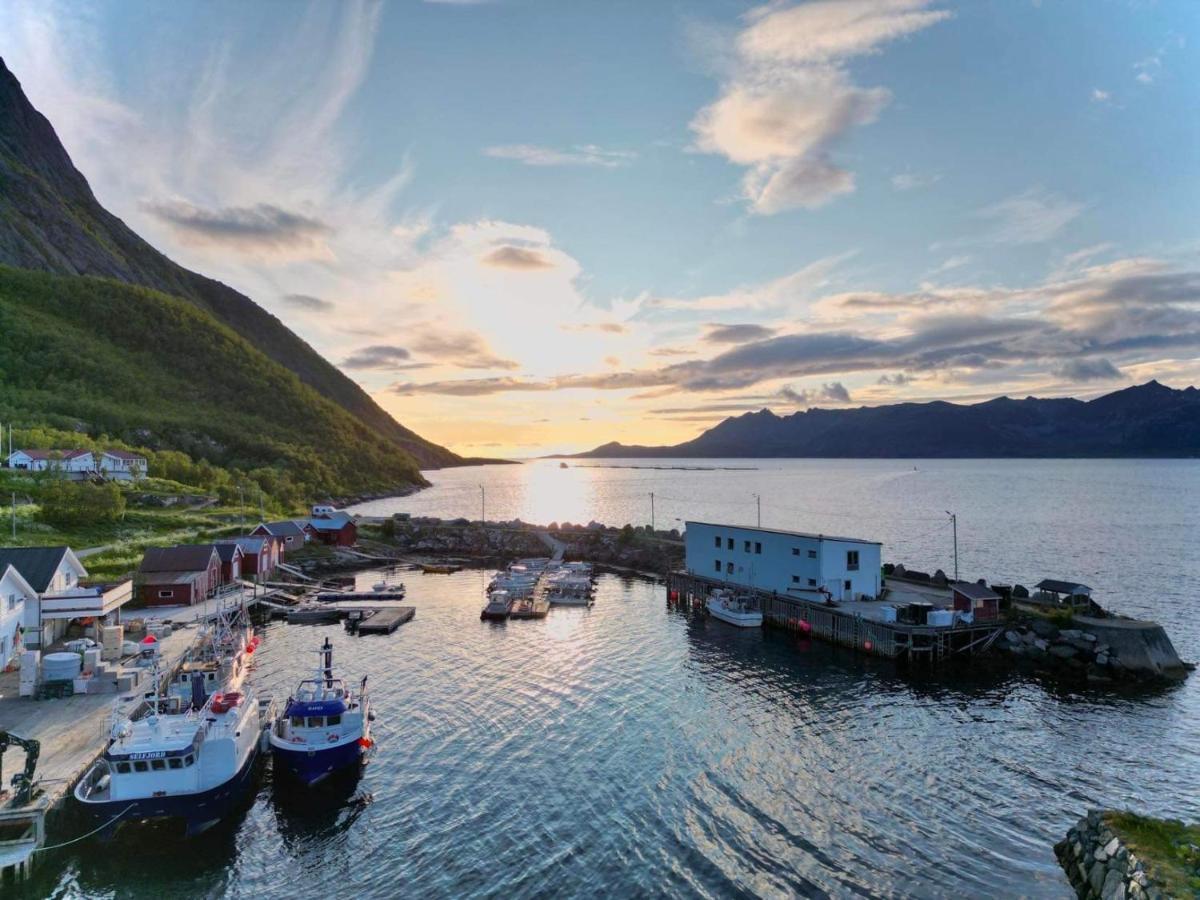 Stonglandseidet Senja Livingアパートホテル エクステリア 写真